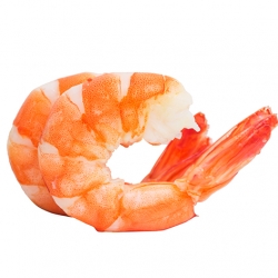 Shrimp3