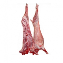 Frozen-Fresh-Halal-Lamb-Meat-Producer-Frenched